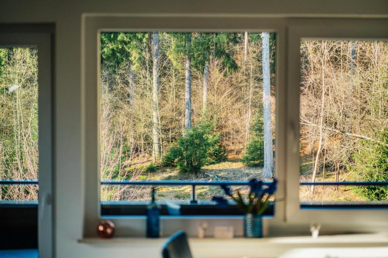 Ferienwohnung Fichte 브라운라제 외부 사진